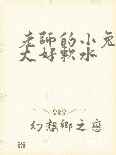 老师的小兔子好大好软水
