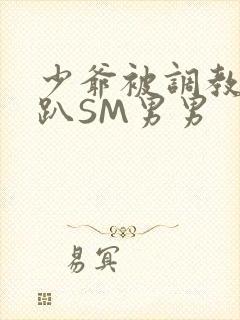 少爷被调教室跪趴SM男男封面