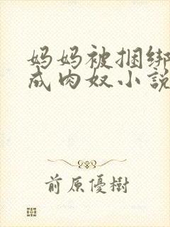 妈妈被捆绑调教成肉奴小说叫什么