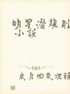 明星潜规则之皇 小说