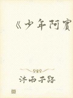 《少年阿宾》