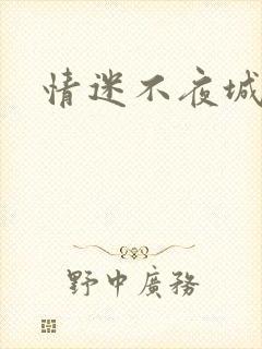情迷不夜城