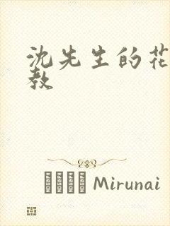 沈先生的花式调教