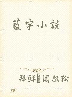 蓝宇小说封面