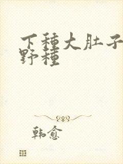 下种大肚子怀孕野种