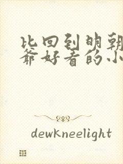 比回到明朝当王爷好看的小说封面