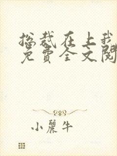 总裁在上我在下免费全文阅读封面