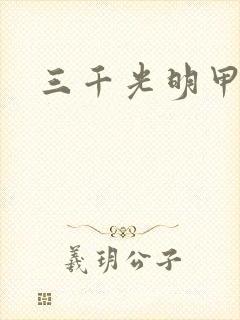 三千光明甲