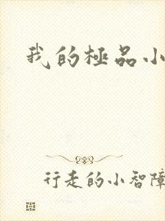 我的极品小姨