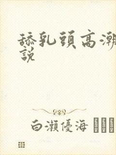 舔乳头高潮的小说