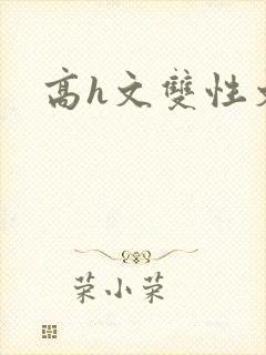高h文双性文封面