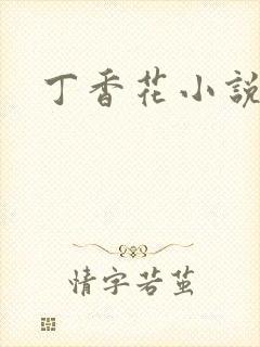 丁香花小说