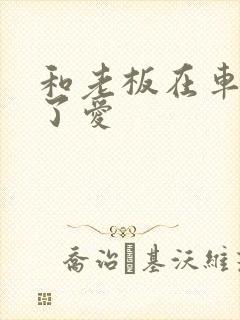 和老板在车里做了爱