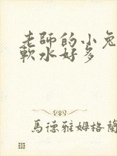 老师的小兔子好软水好多