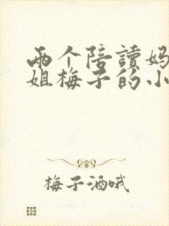 两个陪读妈妈赵姐梅子的小说