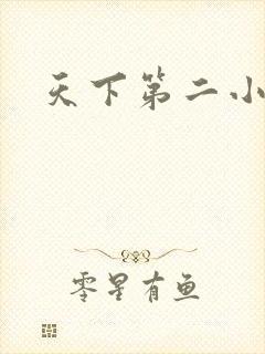 天下第二小说封面