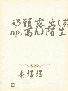 奶头露出(强jnp,高h)陌生人小说小说