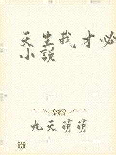 天生我才必有用小说
