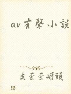 av有声小说