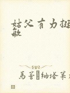 姑父有力挺送赵敏封面