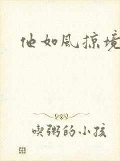 他如风掠境封面