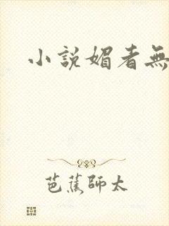 小说媚者无疆封面