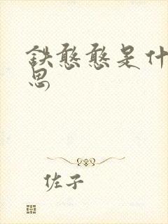 铁憨憨是什么意思