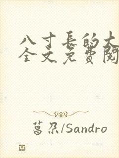八寸长的大宝贝全文免费阅读