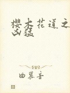 樱木花道之重生凶猛