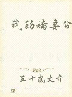 我的娇妻公务员