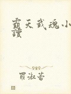 霸天武魂小说阅读封面