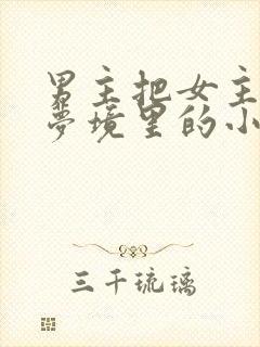 男主把女主拖进梦境里的小说