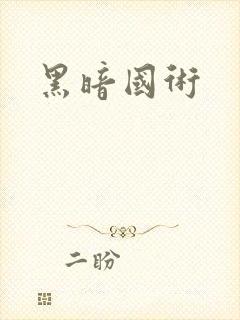黑暗国术封面