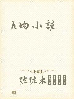 h肉小说