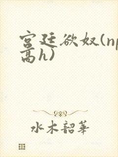 宫廷欲奴(np高h)