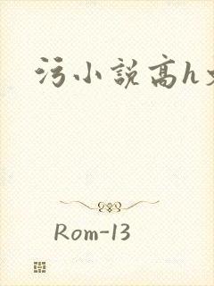 污小说高h文
