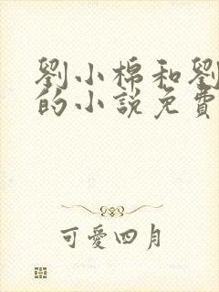 刘小棉和刘易文的小说免费阅读