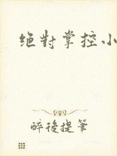 绝对掌控小说