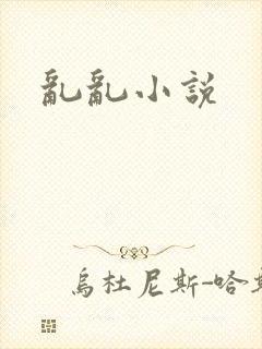 乱乱小说