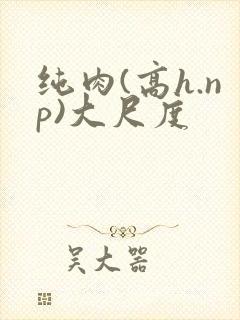 纯肉(高h.np)大尺度封面