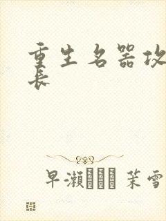 重生名器攻略兄长