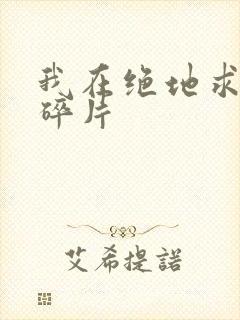 我在绝地求生捡碎片