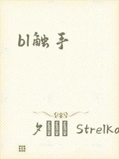bl触手