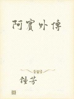 阿宾外传
