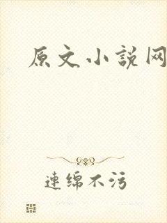 原文小说网封面