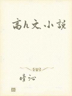 高h文小说