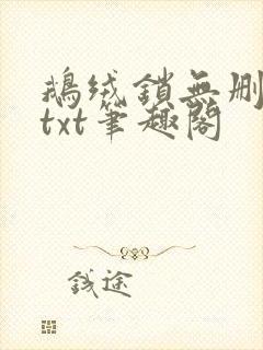 鹅绒锁无删减版txt笔趣阁