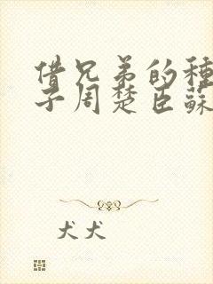 借兄弟的种生孩子周楚臣苏糖