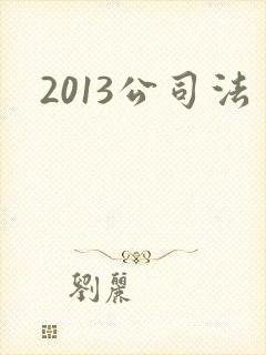 2013公司法