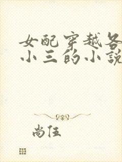 女配穿越各个做小三的小说